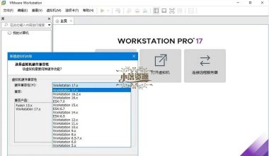 VMware Workstation PRO v17.5.1正式版 - 小落资源网