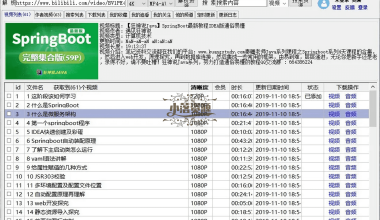 闪豆多平台视频下载器v4.0.0绿色版 - 小落资源网