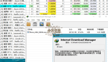 多线程下载利器IDM v6.42.11绿色版 - 小落资源网